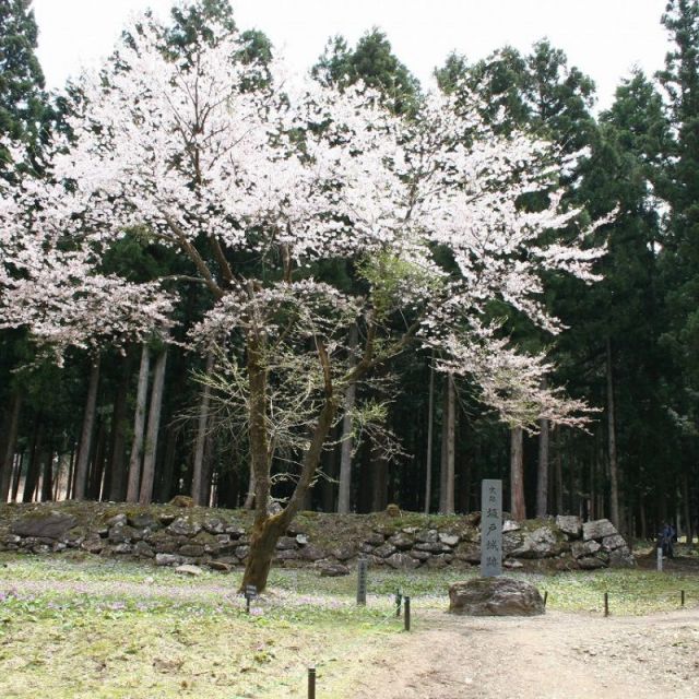 坂戸城跡