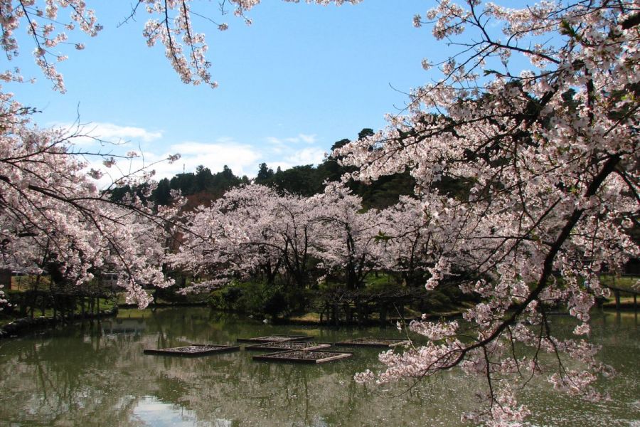 村松公園 新潟の観光スポット 公式 新潟県のおすすめ観光 旅行情報 にいがた観光ナビ