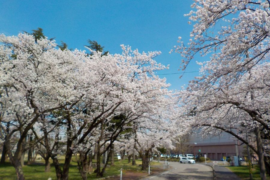 粟島公園