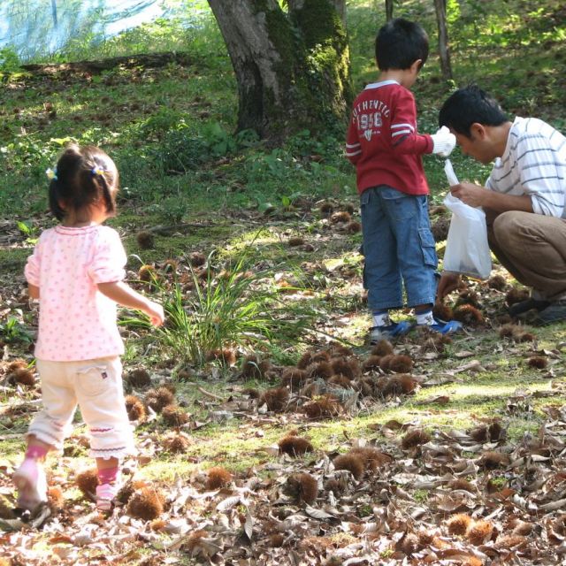 今井観光栗園