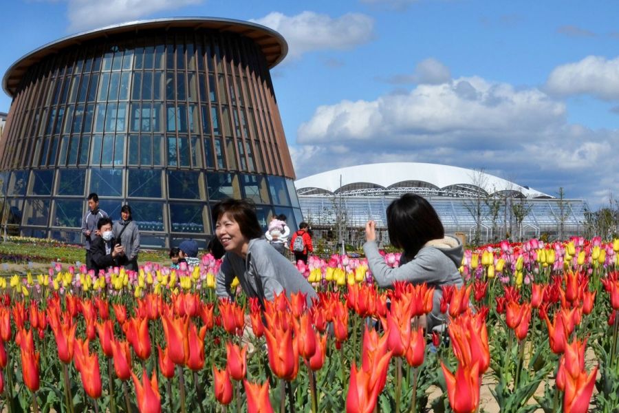 いくとぴあ食花 新潟の観光スポット 公式 新潟県のおすすめ観光 旅行情報 にいがた観光ナビ