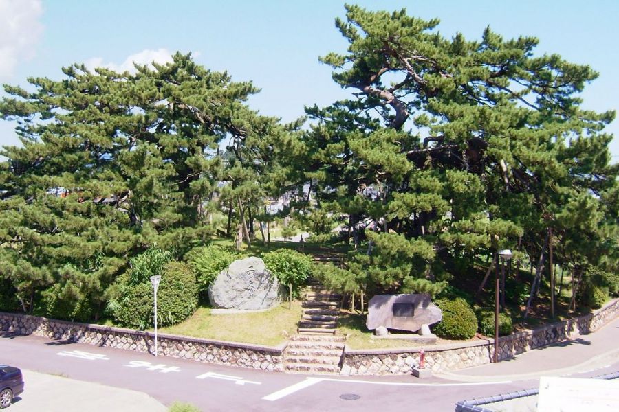 矢作の二本松