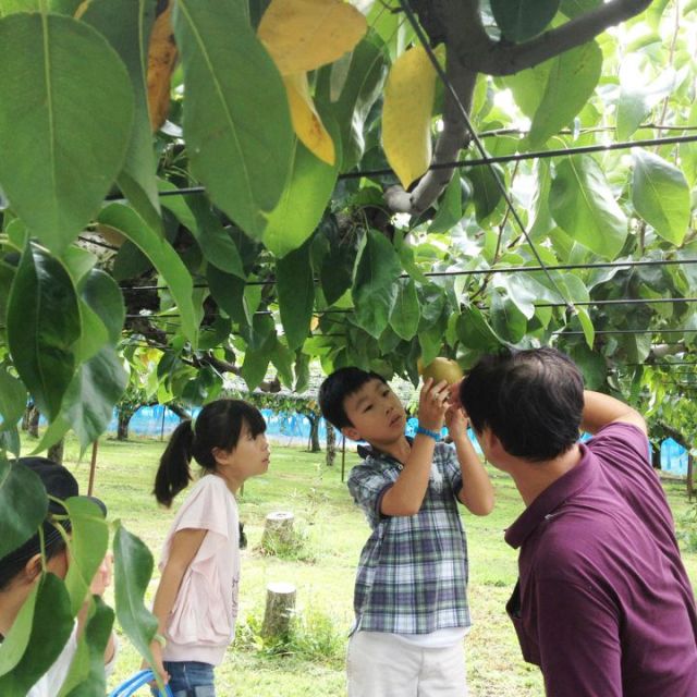 【閉園しました】白根大郷梨中村観光果樹園
