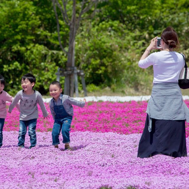 おすすめ花畑 24選 旅のテーマで探す 公式 新潟県のおすすめ観光 旅行情報 にいがた観光ナビ