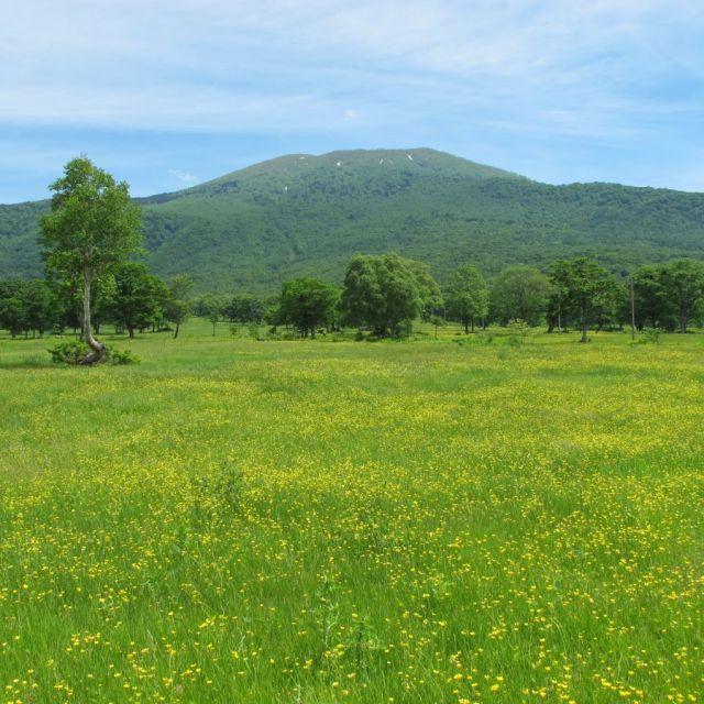 笹ヶ峰高原