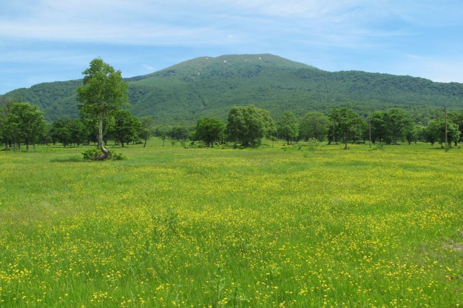 笹ヶ峰高原 新潟の観光スポット 公式 新潟県のおすすめ観光 旅行情報 にいがた観光ナビ