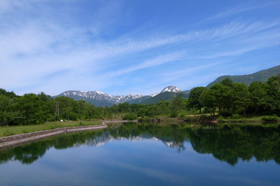 清水ヶ池（春）