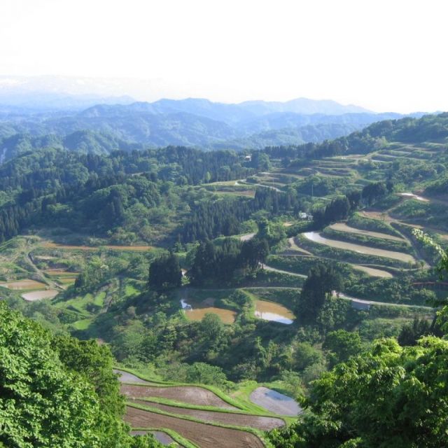 大開の棚田