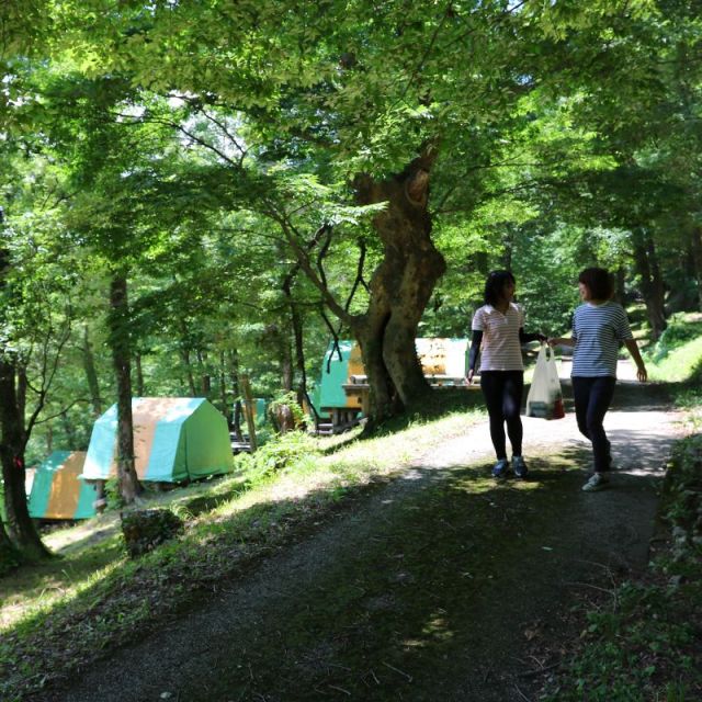 鷹の巣キャンプ場