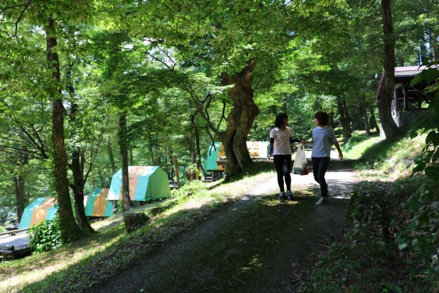 鷹の巣キャンプ場