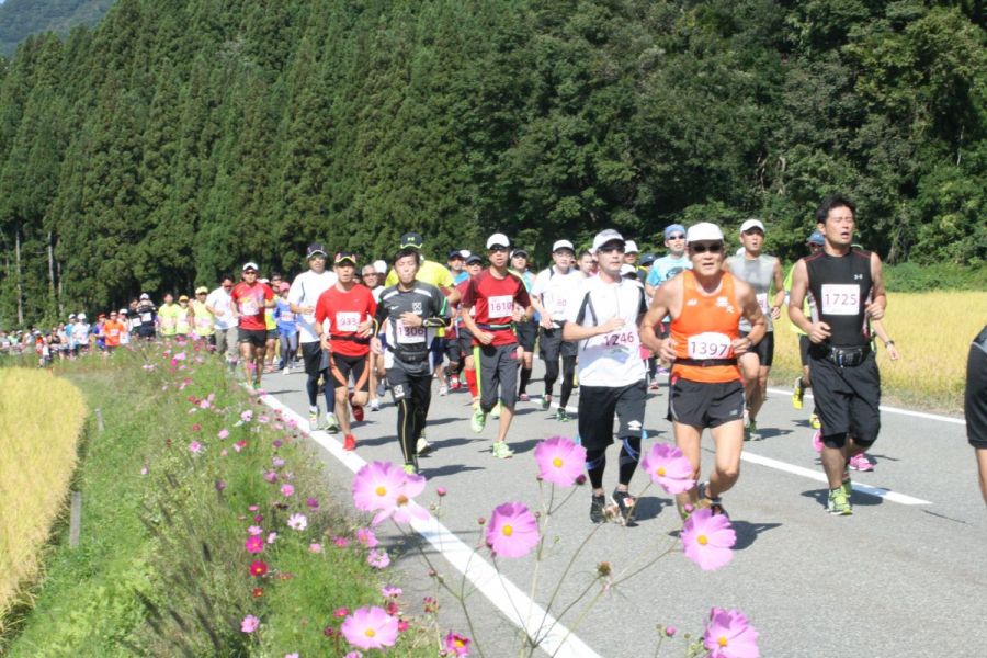 【2021年度開催中止】越後湯沢秋桜ハーフマラソン