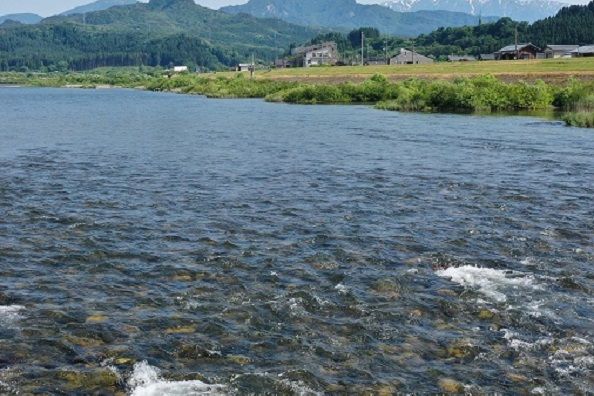 荒川