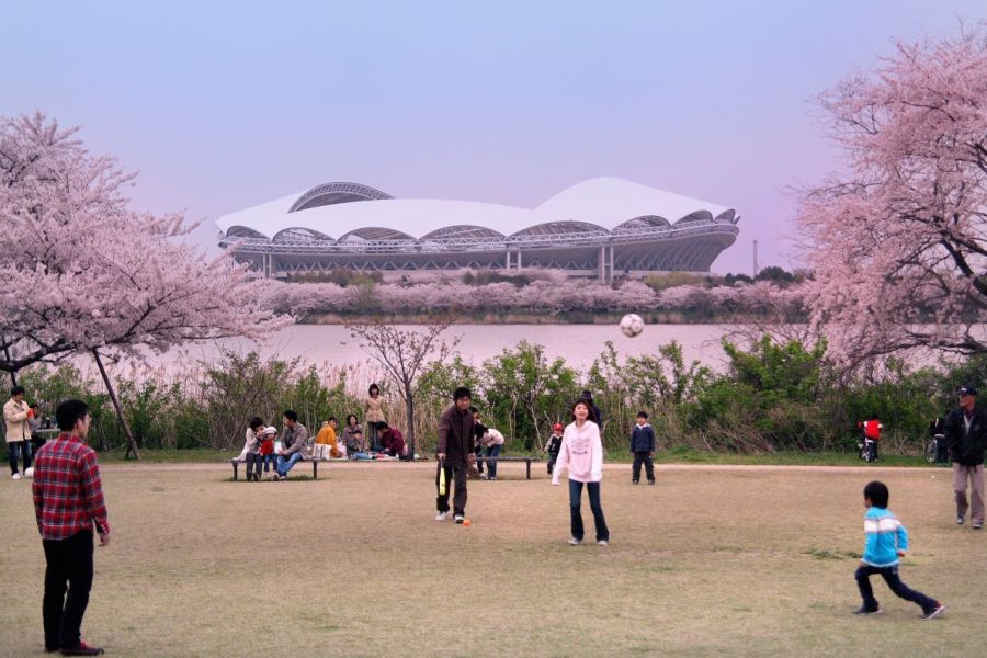 新潟とやの湖桜まつり