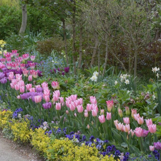 みつけイングリッシュガーデン「スプリングフェア」／こどもの日開催！5月6日（水・祝）「ガーデンこどもDAY！」