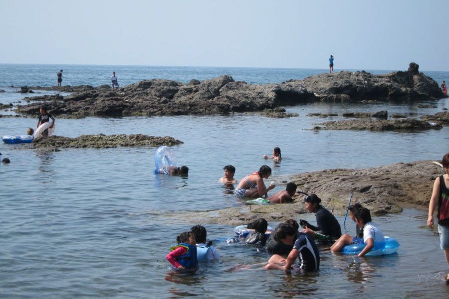 鯨波海水浴場｜新潟の観光スポット｜【公式】新潟県のおすすめ観光 