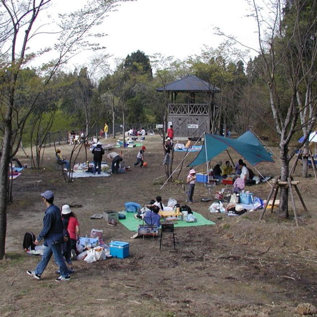ガルルの丘キャンプ場
