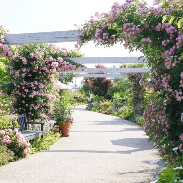 みつけイングリッシュガーデン「フラワーフェスティバル」