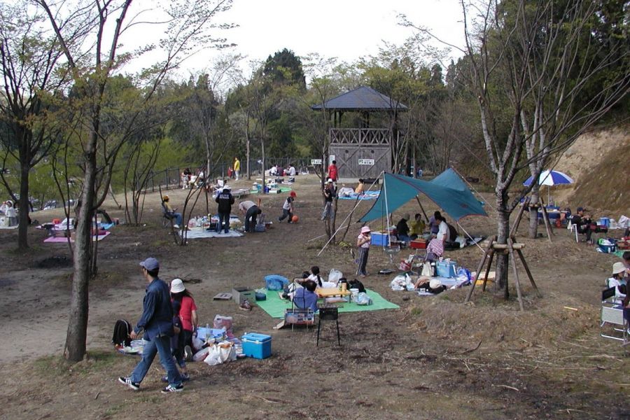 新潟県立こども自然王国 新潟の体験 公式 新潟県のおすすめ観光 旅行情報 にいがた観光ナビ