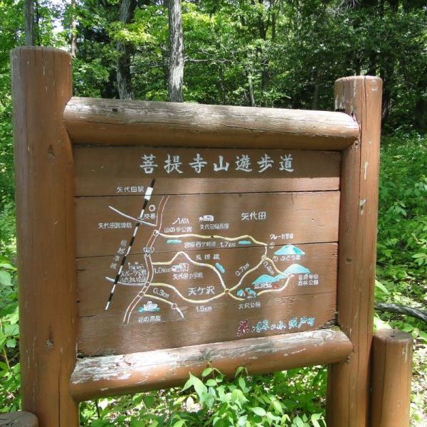 菩提寺山ハイキングコース