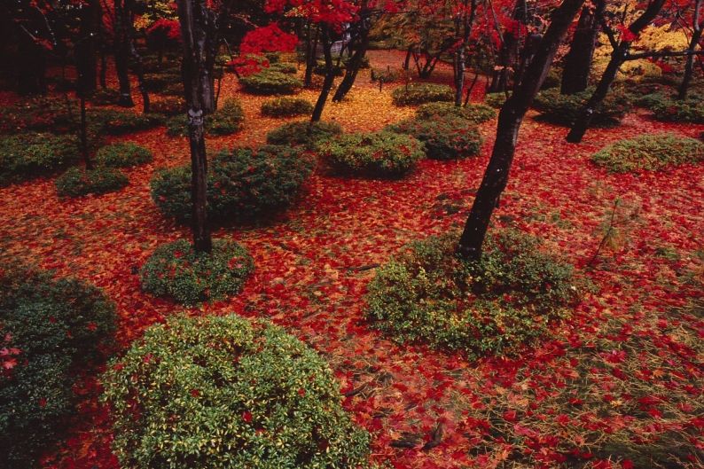 松雲山荘 新潟の観光スポット 公式 新潟県のおすすめ観光 旅行情報 にいがた観光ナビ