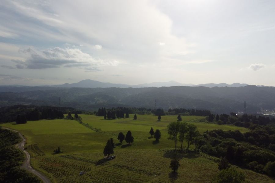 山本山山頂