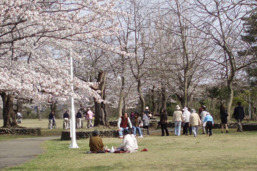 赤坂山公園 新潟の観光スポット 公式 新潟県のおすすめ観光 旅行情報 にいがた観光ナビ