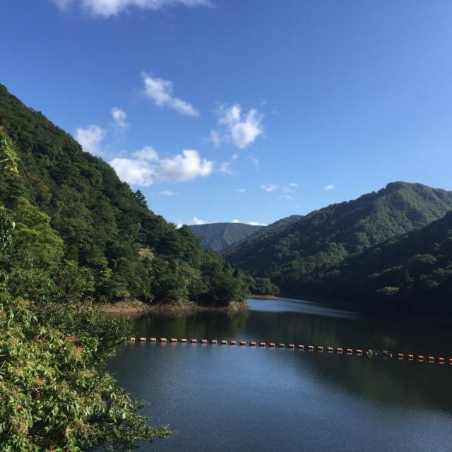 谷根ダム