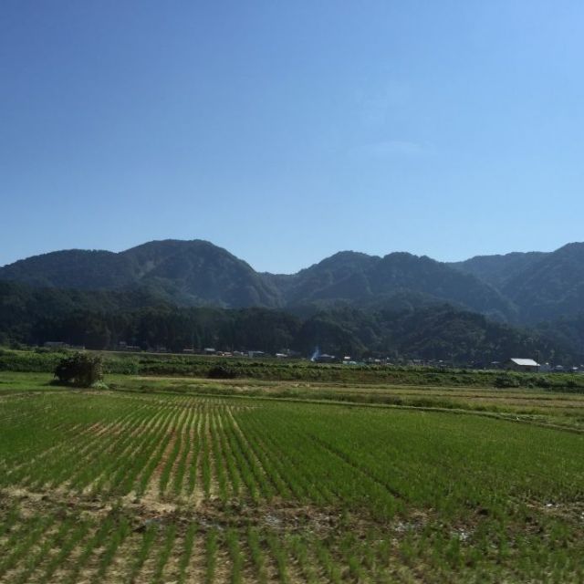 八石山