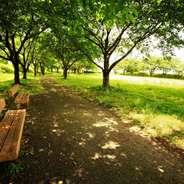 赤川霞堤公園