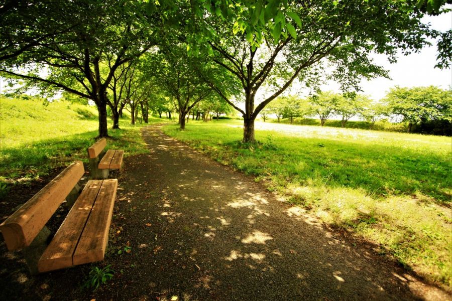 赤川霞堤公園