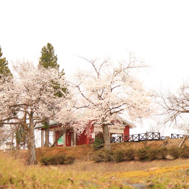 水道山・観音山公園