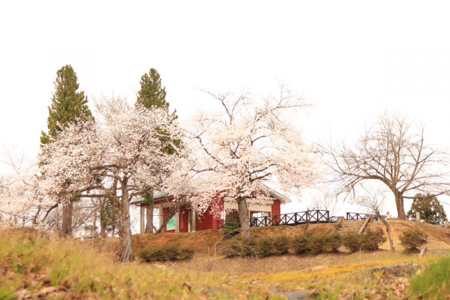 水道山・観音山公園