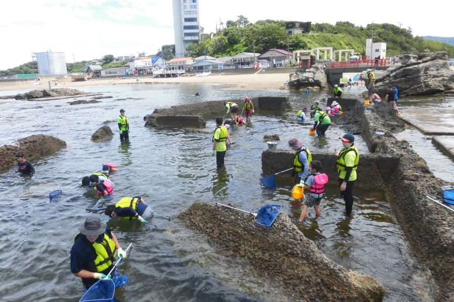 番神自然水族館 新潟の体験 公式 新潟県のおすすめ観光 旅行情報 にいがた観光ナビ