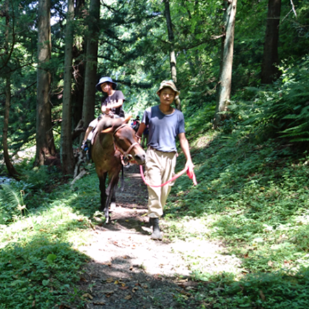 【サドベンチャー】自然いっぱいの森の中を乗馬で散歩♪
