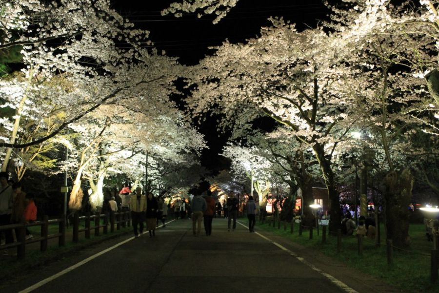 村松公園 新潟の観光スポット 公式 新潟県のおすすめ観光 旅行情報 にいがた観光ナビ