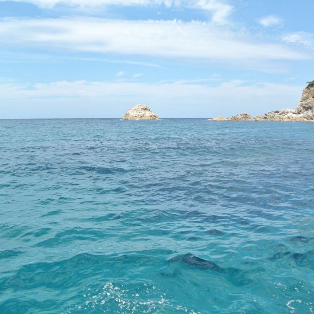 新潟県海水浴情報2025