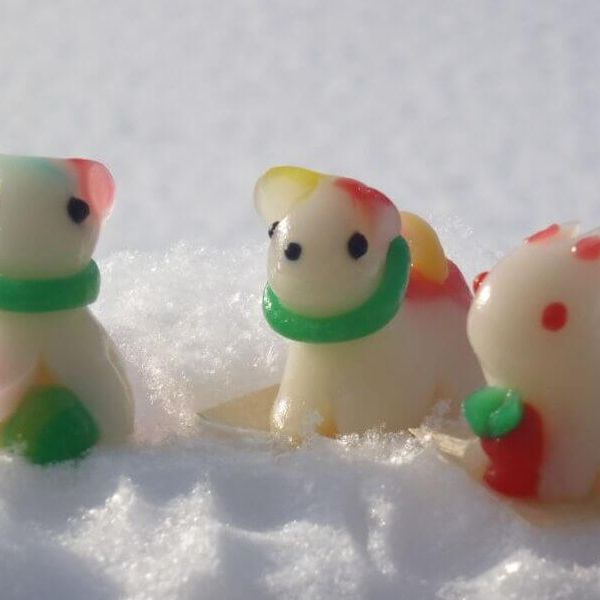 雪国体験