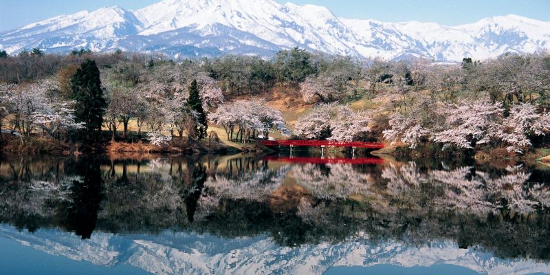 松ヶ峯周辺の桜と妙高山