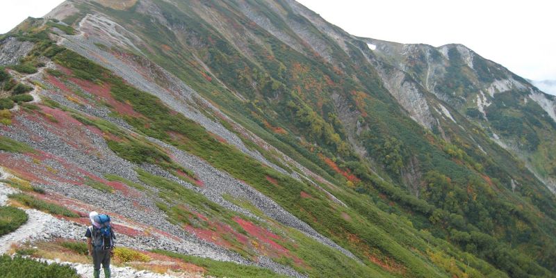 小蓮華山の山道／糸魚川市