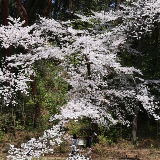 じゅんさい池公園