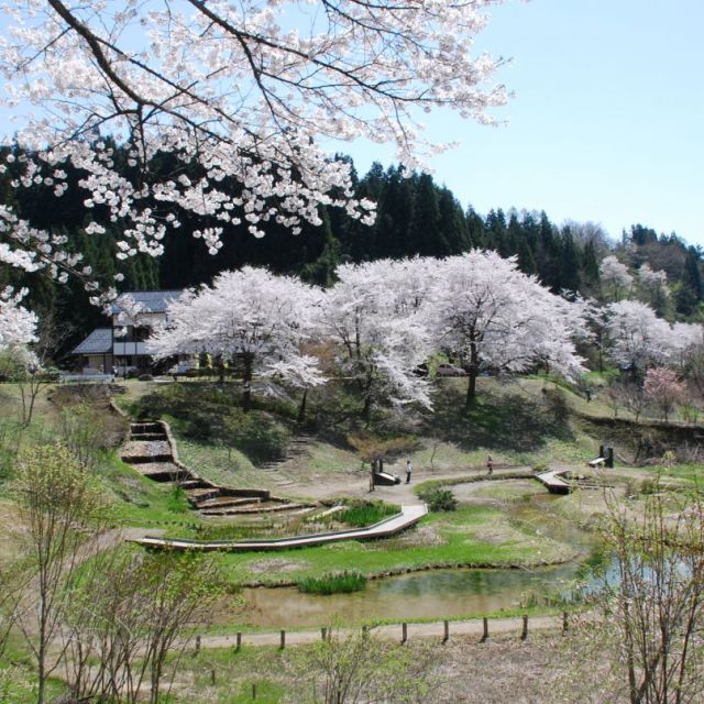 下条川ダム緑地