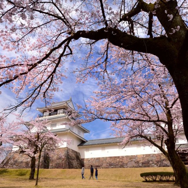 悠久山公園