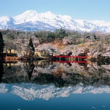 松ヶ峯周辺の桜と妙高山