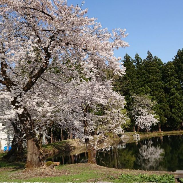 上の原公園・お松の池