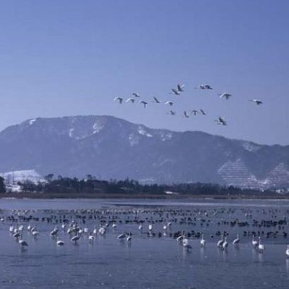 ラムサール条約登録湿地「佐潟」