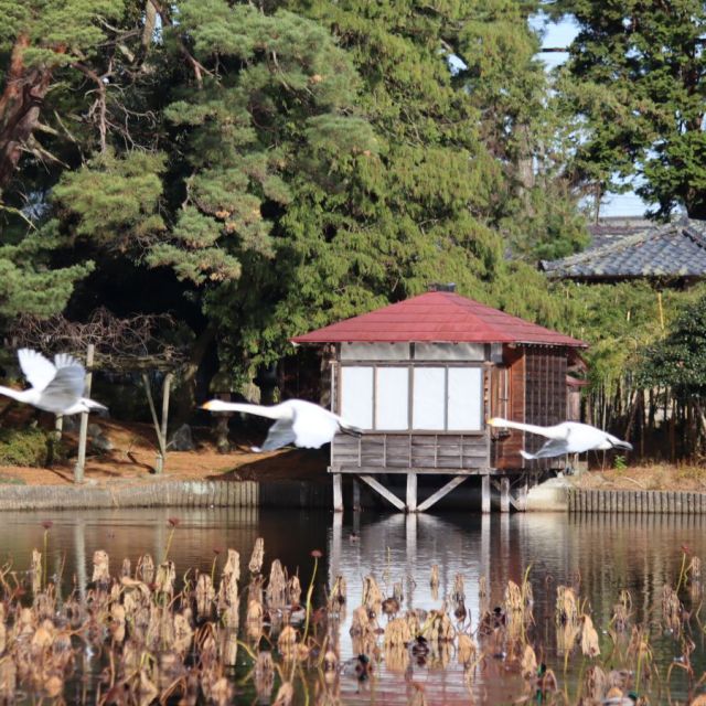 弁天潟風致公園
