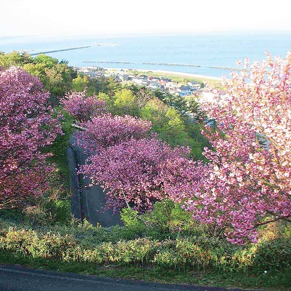 諸上寺公園