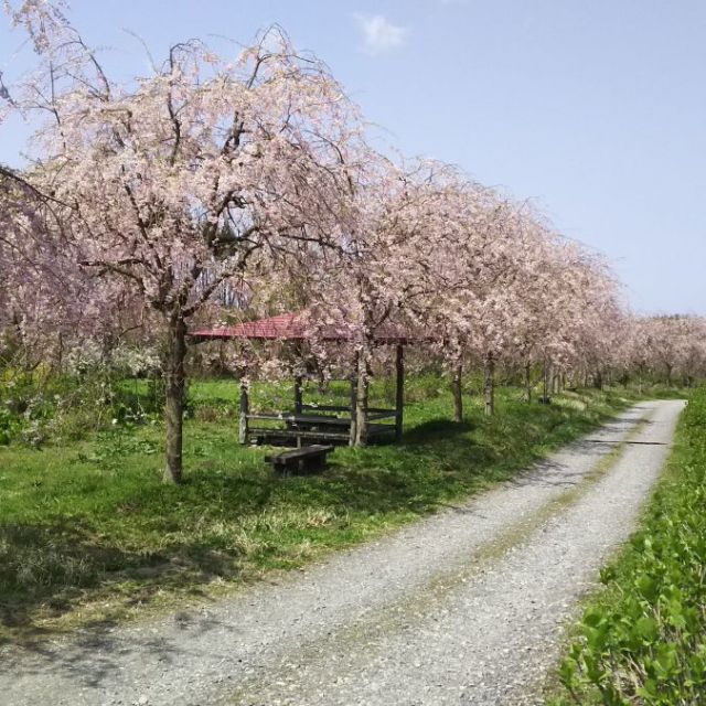 板額ほたるの里
