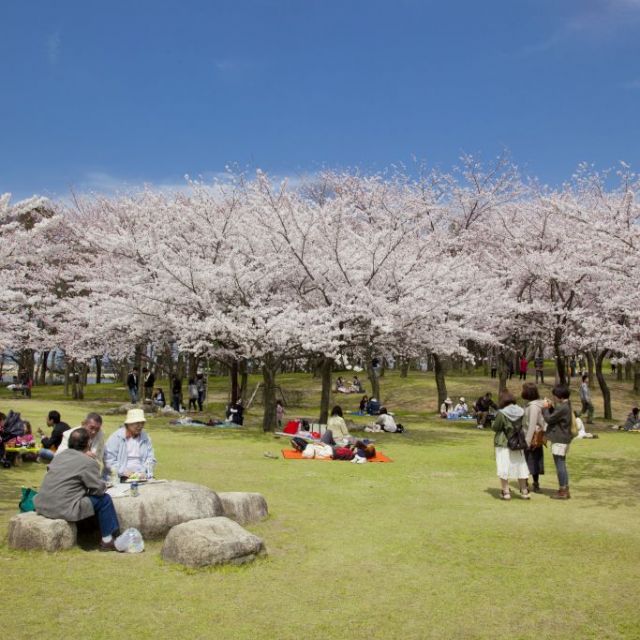 鳥屋野潟公園鐘木地区