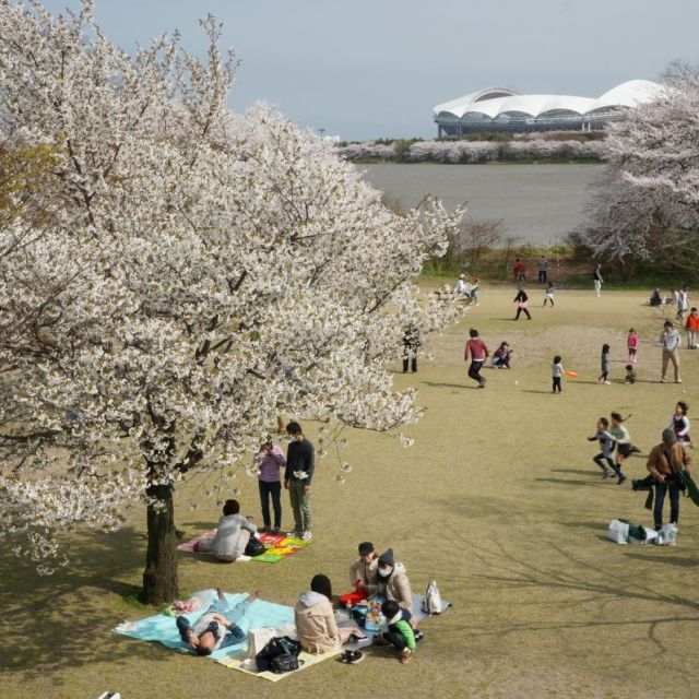 鳥屋野潟公園女池地区